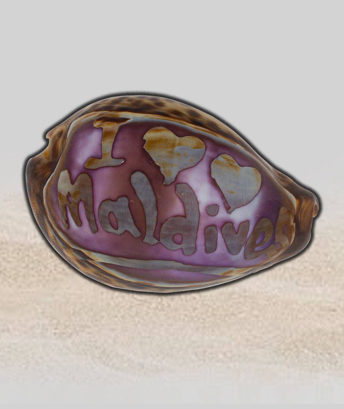 Vintage Carved Cameo Tiger Cowrie Shell, Maldives Souvenir Asia Indian ocean - Image 4