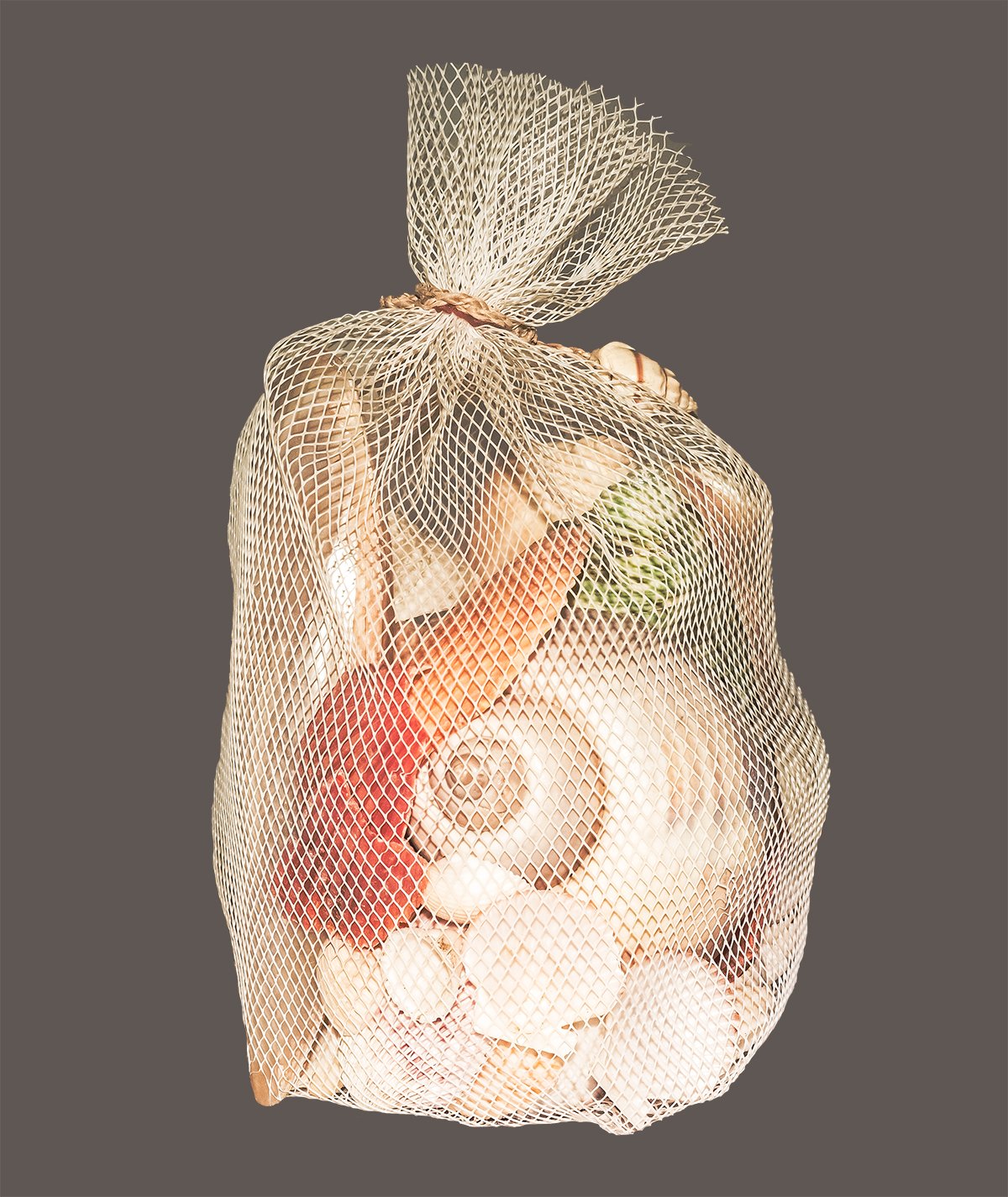 Something Different Shells In Net Multicoloured - Image 2