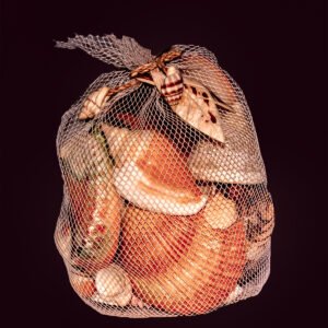 Something Different Shells In Net Multicoloured