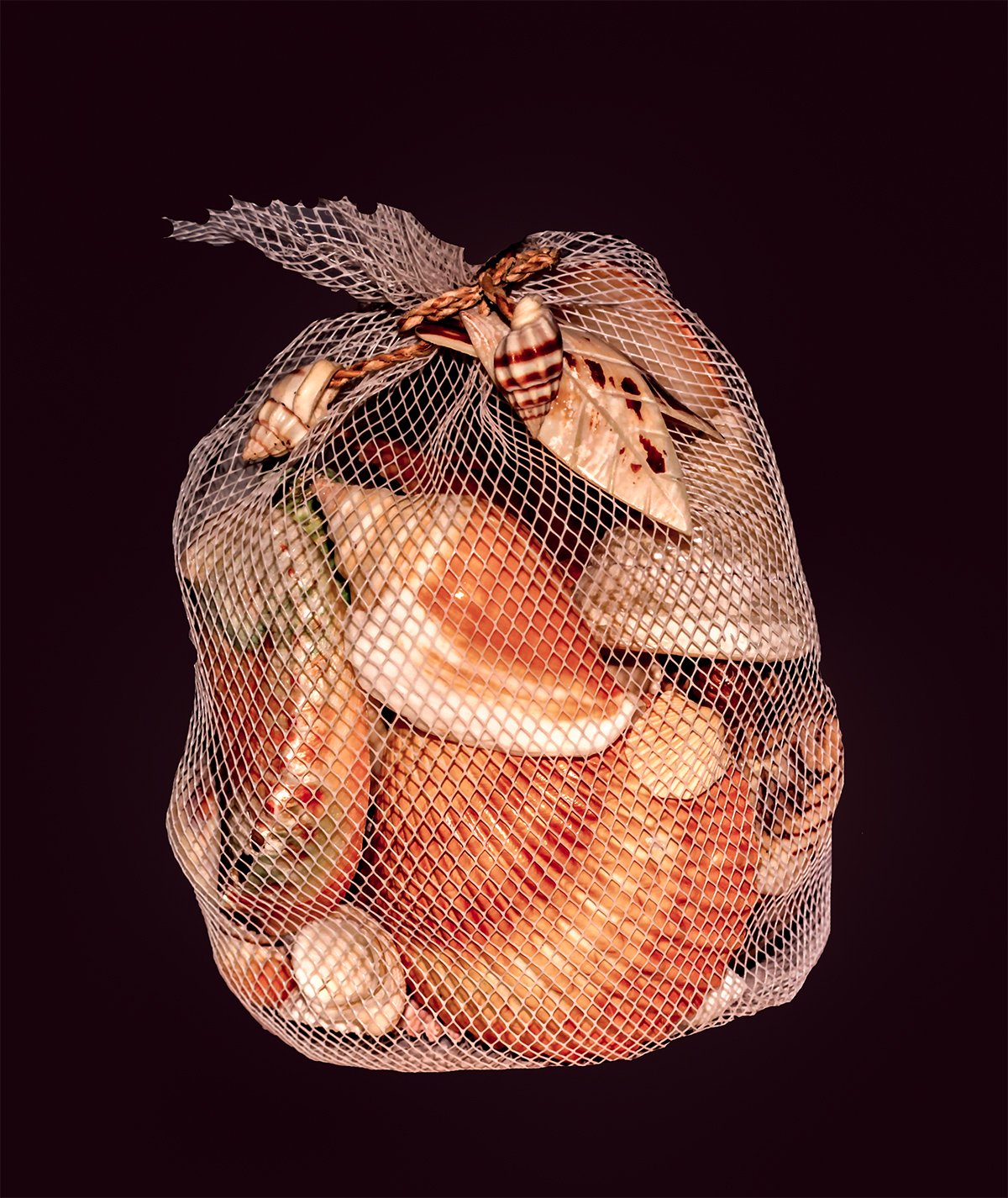 Something Different Shells In Net Multicoloured