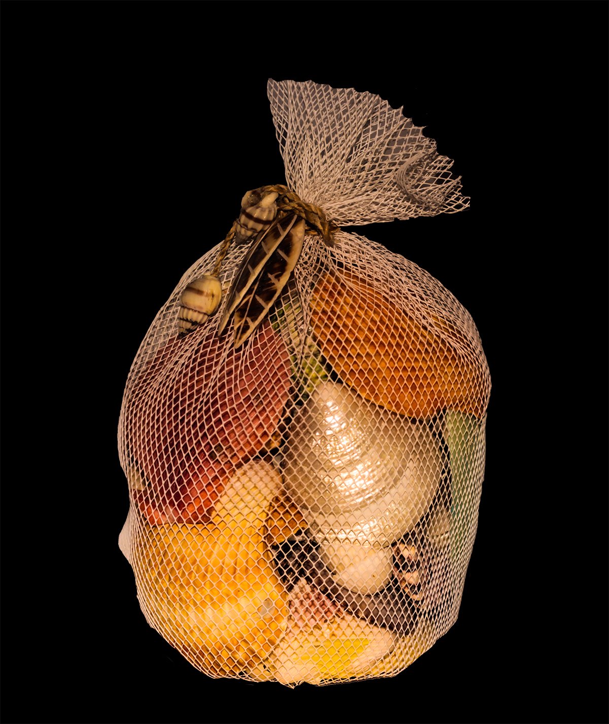 Something Different Shells In Net Multicoloured - Image 4